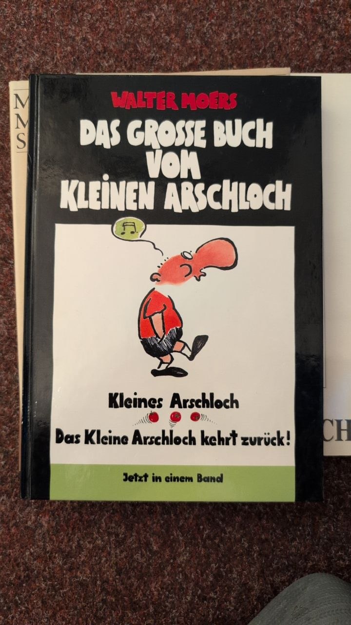 covers/bk0038-moers-grosses-buch-vom-kleinen-arschloch.jpg